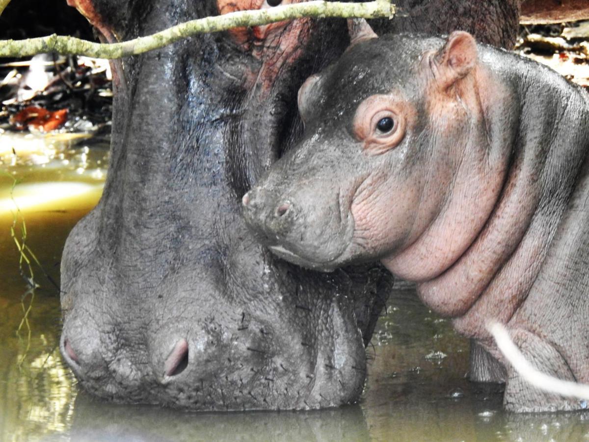 ホテル マプタランド ゲスト ハウス Saint Lucia Estuary エクステリア 写真